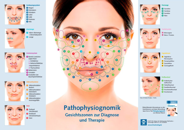 Bild aller Gesichtszonen in der Pathophysiognomik/Gesichtsdiagnostik